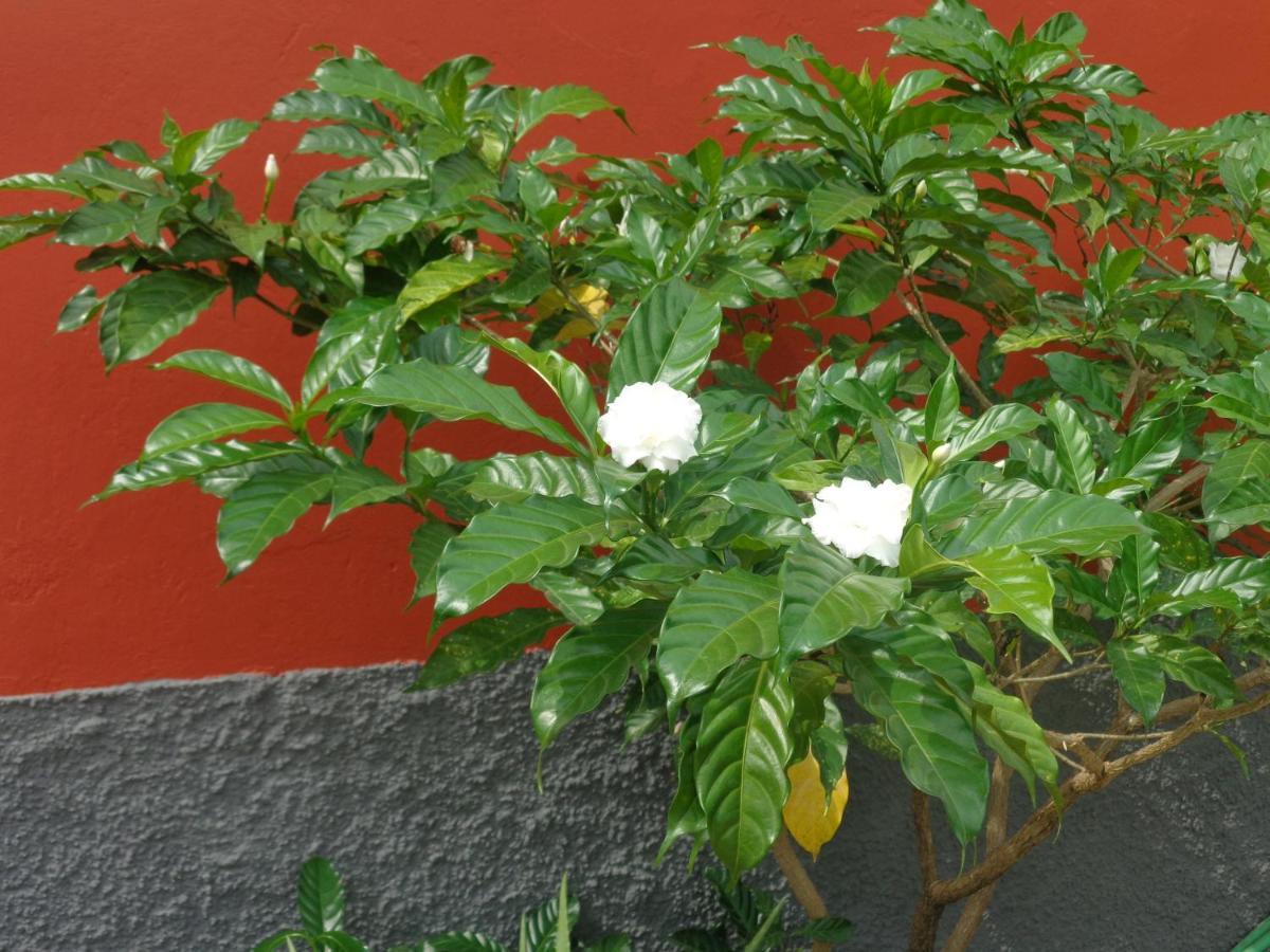 Santos'S House Hotel Sao Tome Exterior foto